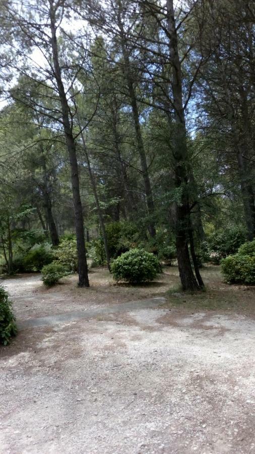 Le Clos Zinou Lambesc Dış mekan fotoğraf