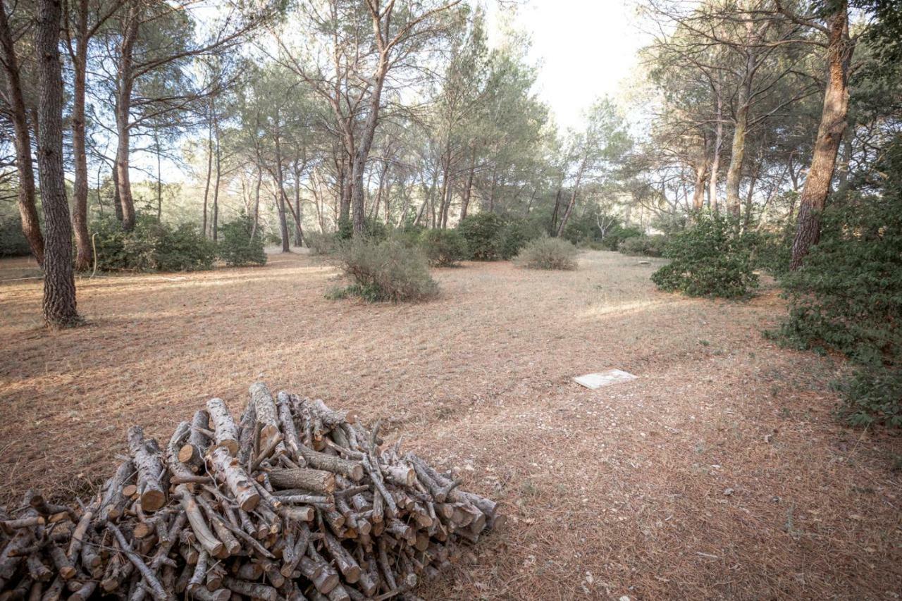 Le Clos Zinou Lambesc Dış mekan fotoğraf